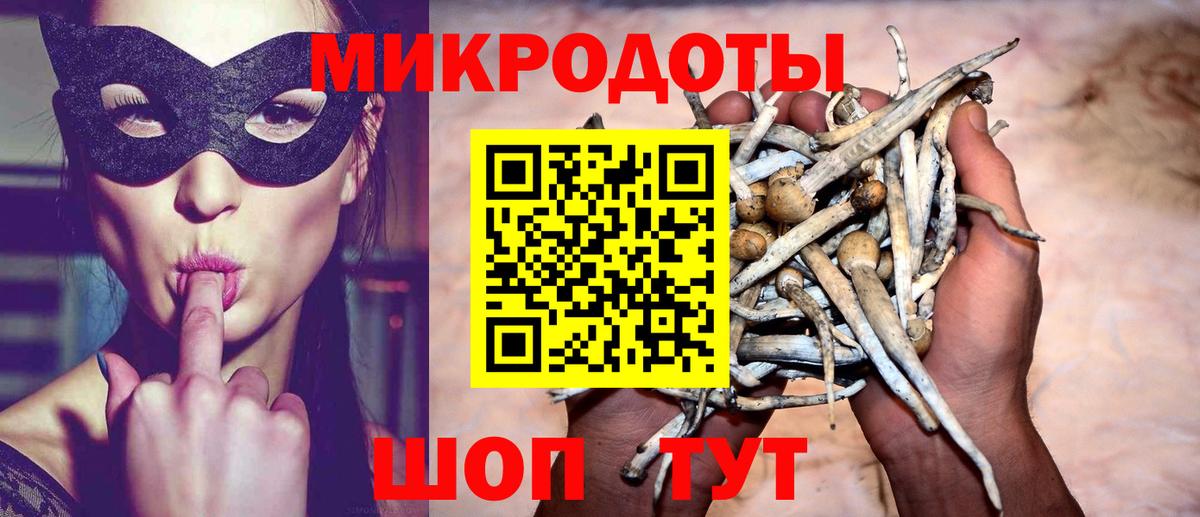 Псилоцибиновые грибы Cubensis  Галлюциногенные грибы мицелий  Вход с VPN  Златоуст 