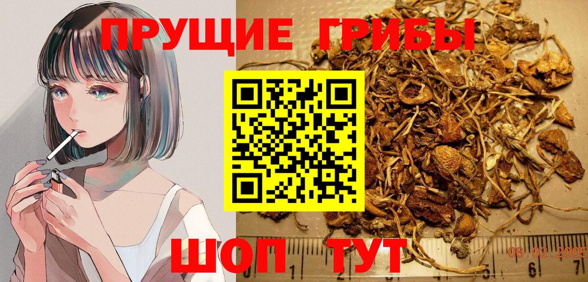 Экстази Златоуст